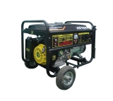 Бензиновый/газовый генератор DY8000LX