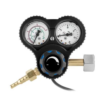 Регулятор газовый универсальный У-30/АР-40-П-01 (220V) PROTEC