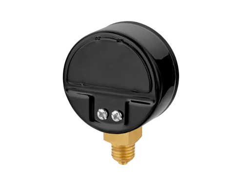 ТМ-210Р (0-2,5 МПа) M12x1,5 ГАЗ