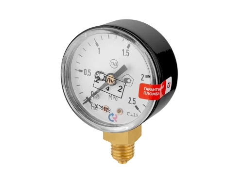 ТМ-210Р (0-2,5 МПа) M12x1,5 ГАЗ